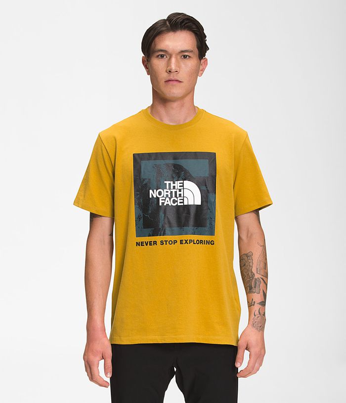 Camiseta The North Face Hombre Recycled Climb Gráfico Manga corta - Colombia NFTGRE386 - Amarillo